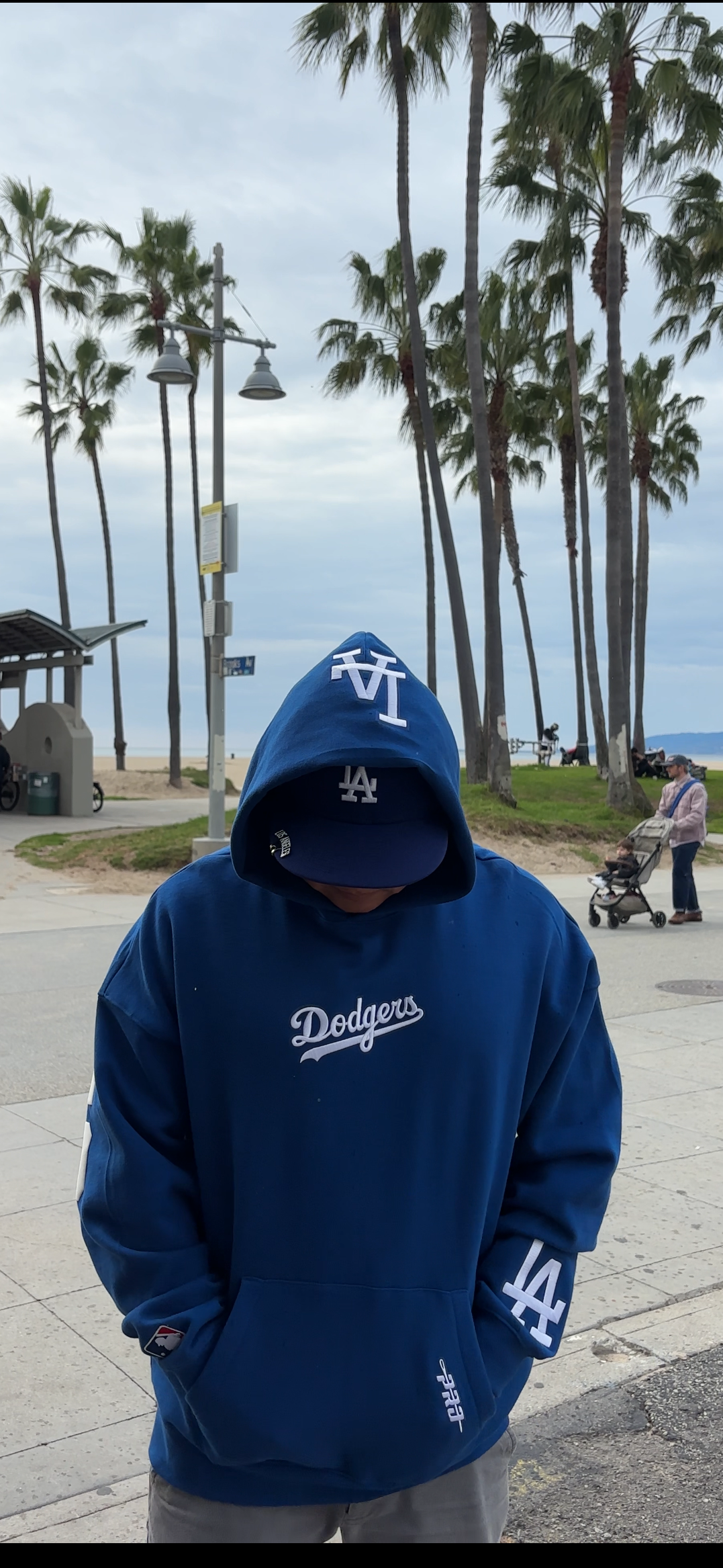 LOS ANGELES CLASSIC WINGSPAN HOODIE