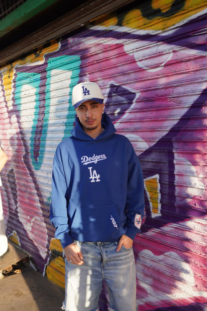 LOS ANGELES CLASSIC WINGSPAN HOODIE