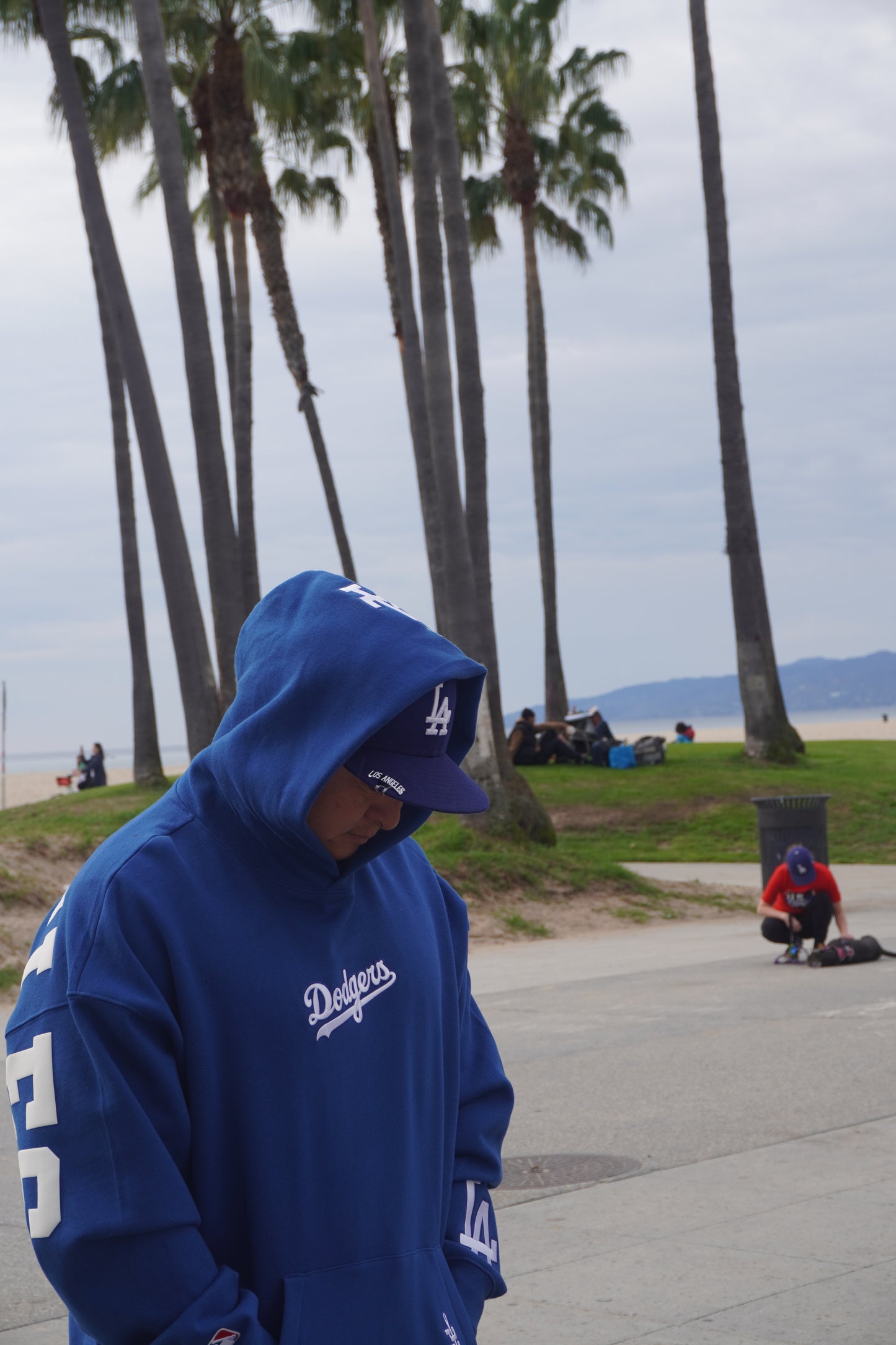 LOS ANGELES CLASSIC WINGSPAN HOODIE